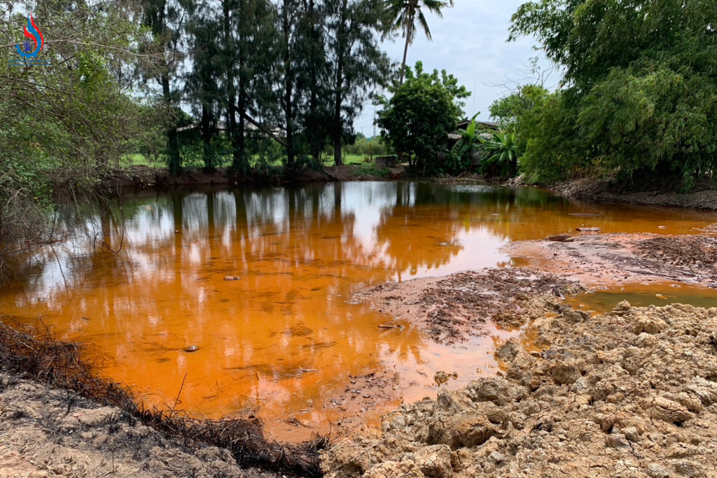 แอ่งน้ำในที่ดินเอกชน ต.ขวัญเมือง อ.บางปะหัน จ.พระนครศรีอยุธยา