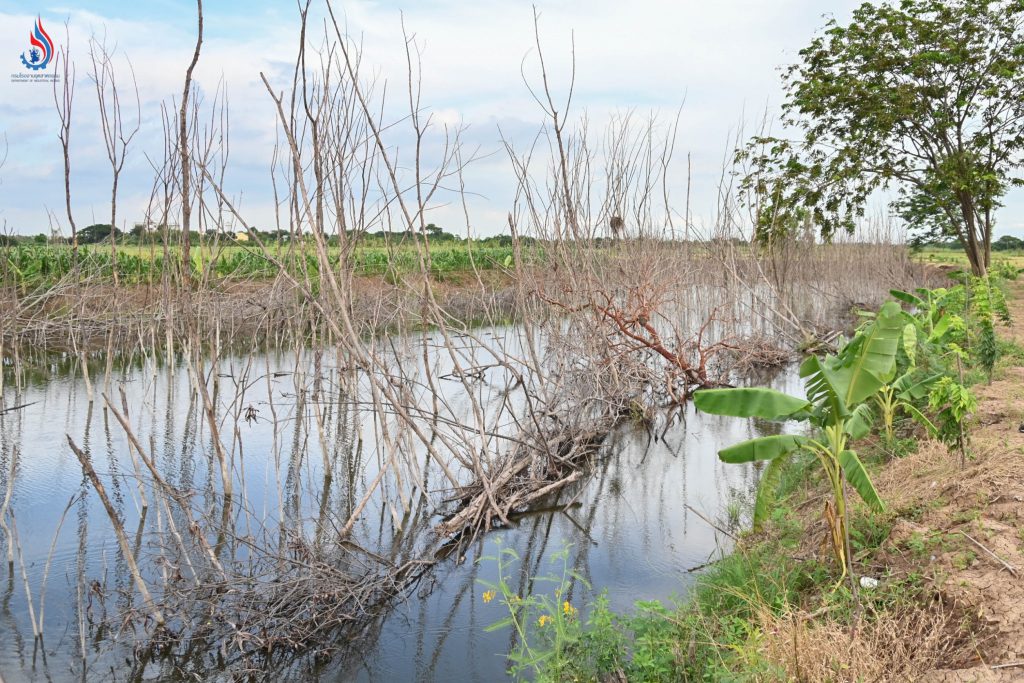 บ่อน้ำขนาดใหญ่ ต้นไม้มีลักษณะยืนต้นแห้งตาย และมีคราบสีส้มเกาะอยู่บริเวณลำต้น