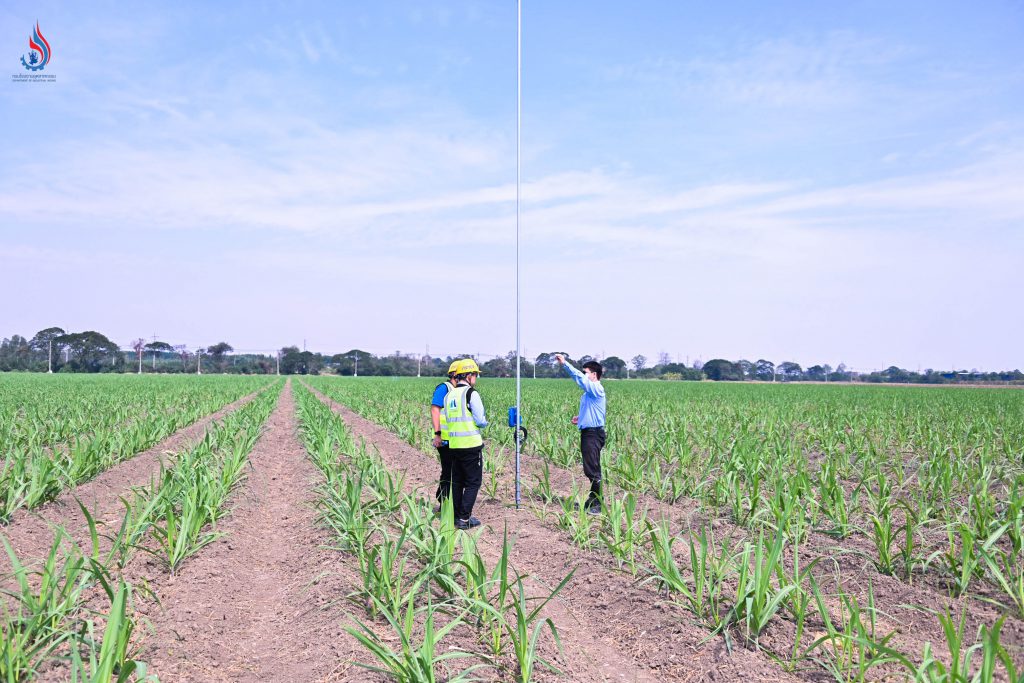 อุทยานมิตรผลด่านช้างดำเนินการชดเชยคาร์บอนในปริมาณ 75,199 ตันคาร์บอนเทียบเท่า