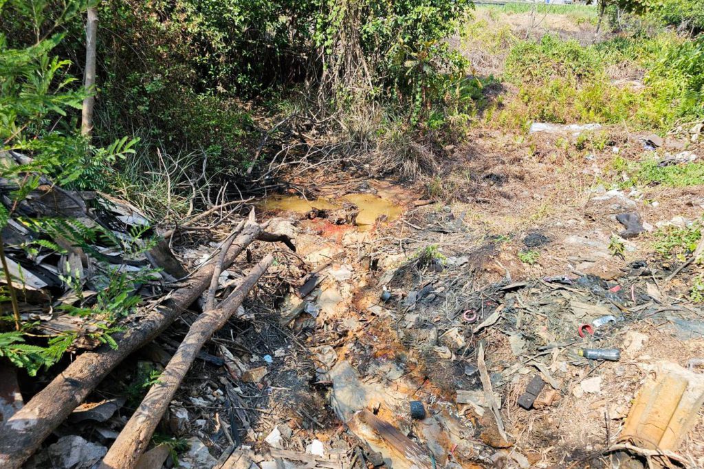 ผิวดินแปรสภาพเป็นสีแดงและสีส้มเป็นหย่อมๆ