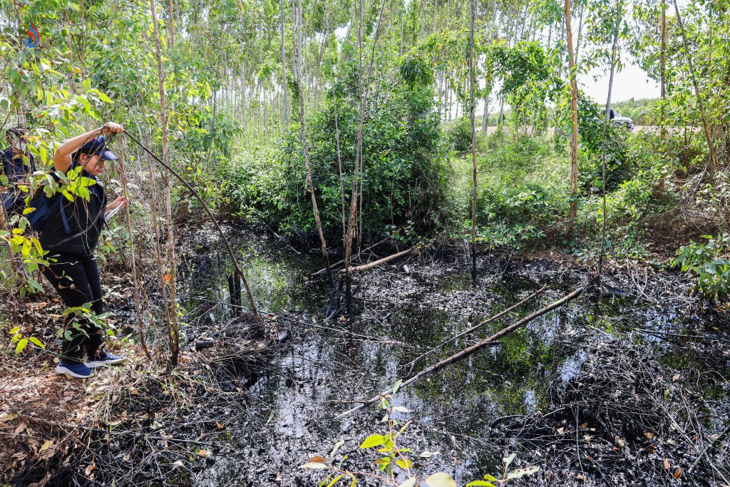 พบผู้กระทำผิด 3 ราย ให้การรับสารภาพ และอยู่ระหว่างรวบรวมพยานหลักฐานเพื่อส่งฟ้อง พร้อมสืบสวนหาผู้ถือกรรมสิทธิ์ที่ดินเพิ่มเติม ซึ่งปัจจุบันคดียังอยู่ระหว่างการสอบสวนและติดตามความคืบหน้าอย่างต่อเนื่อง